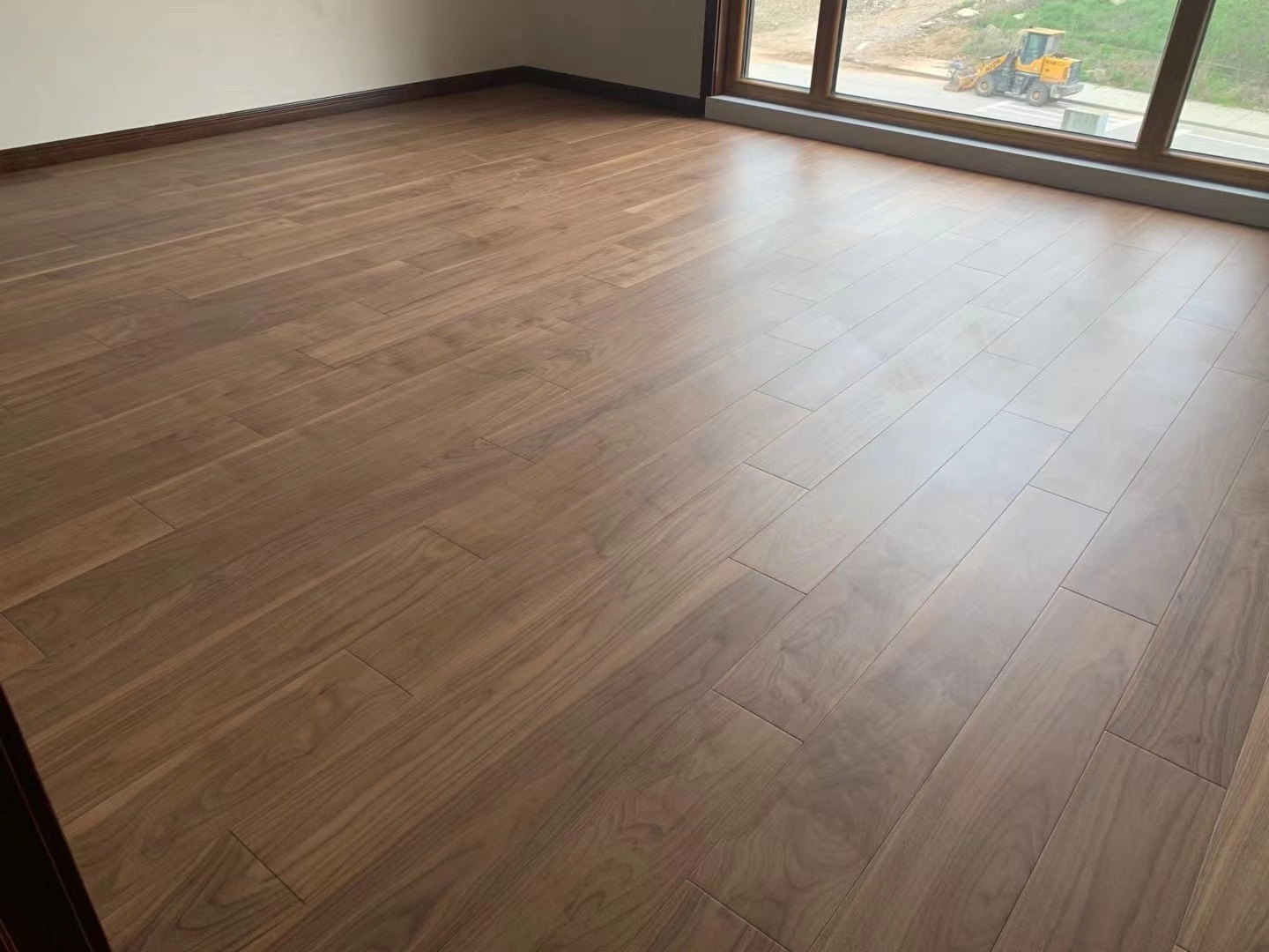 黑胡桃5.jpg 黑胡桃5.jpg