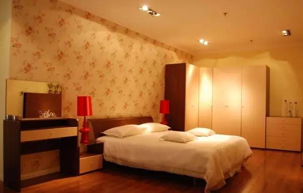 南北客廳個(gè)東西客廳裝修效果圖_客廳餐廳隔斷裝修效果圖,客廳_客廳裝修