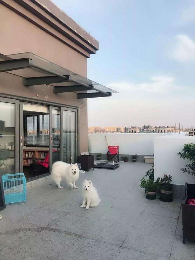 躍層裝修北歐風(fēng)(140平米躍層裝修效果圖北歐風(fēng))(11)