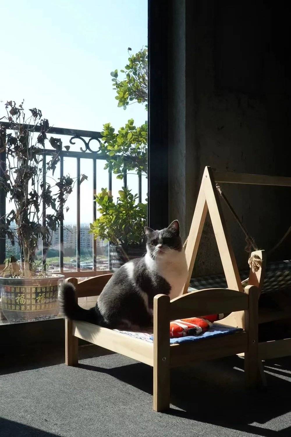 我為什么住進(jìn)毛坯房？