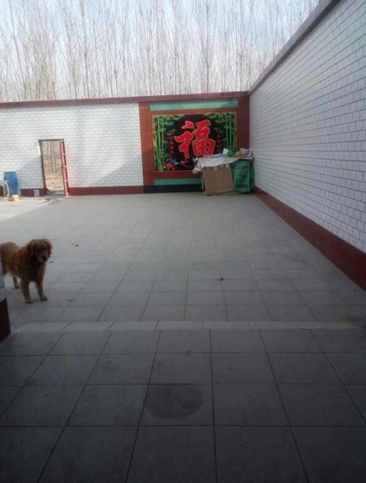 曬曬我的農(nóng)村婚房，占地面積600平，廚房超級大，臥室誰見過？