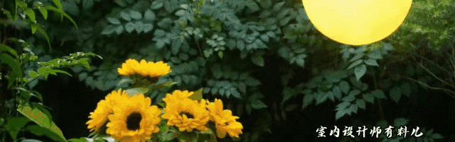 她買下一樓60平方米院子，打造成絕美花園，連陽臺(tái)、客廳也不放過