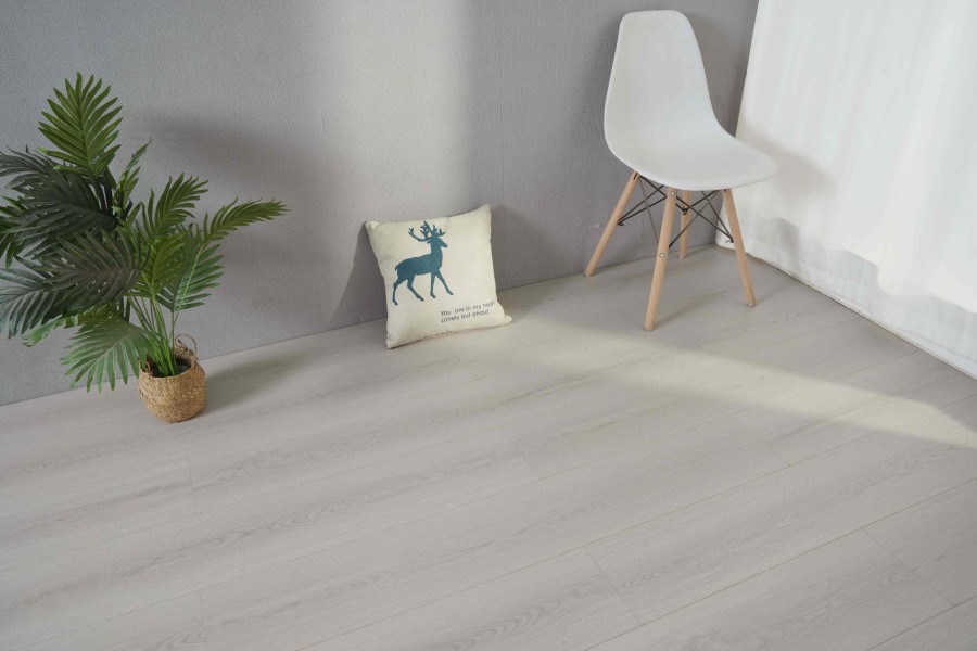 DSC02441.jpg DSC02441.jpg