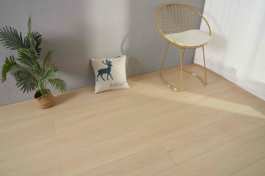 DSC02447.jpg DSC02447.jpg